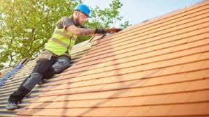 Best Roof Moss and Algae Removal  in Kent City, MI