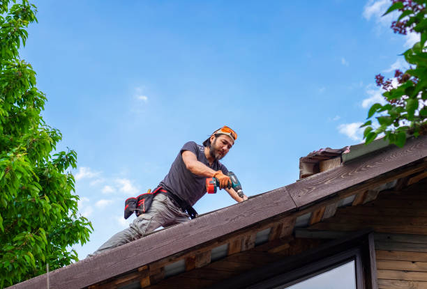 Best Sheet Metal Roofing  in Kent City, MI