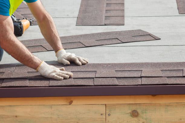 Best Solar Panel Roofing Installation  in Kent City, MI